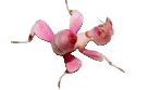 Image posted by the member