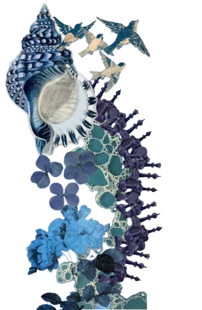 Image posted by the member