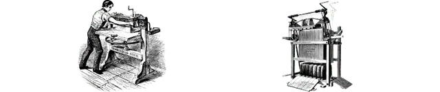 Image posted by the member