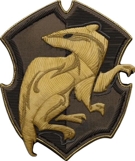 Image posted by the member