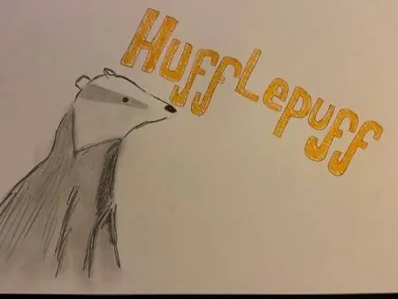 Image posted by the member