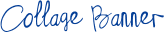 Image posted by the member