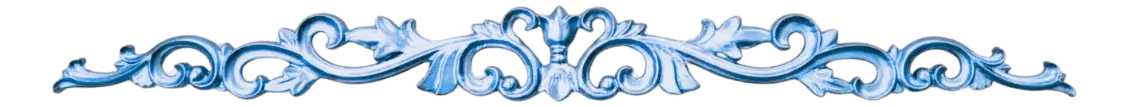 Image posted by the member