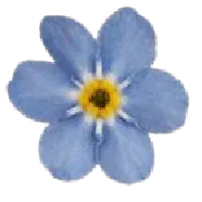 Image posted by the member