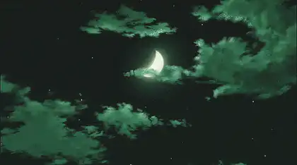 Image posted by the member