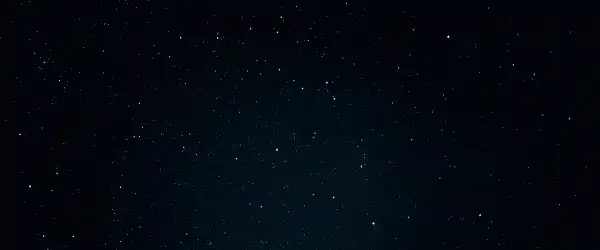 Image posted by the member