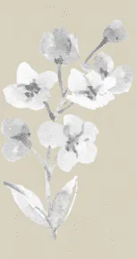 Image posted by the member