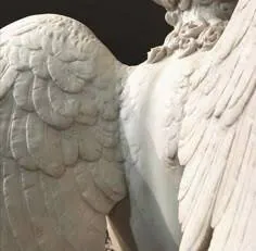 Image posted by the member