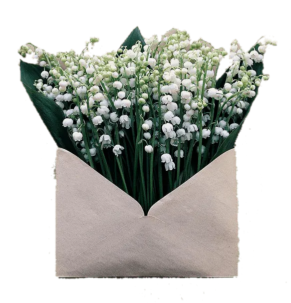 Image posted by the member