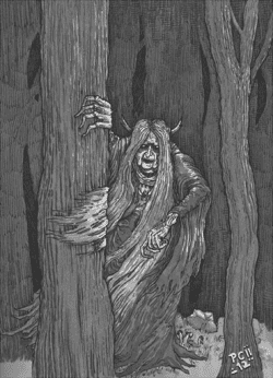 Image posted by the member