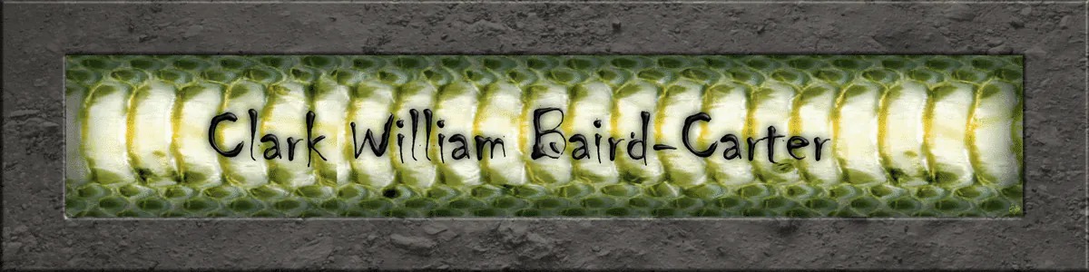 Image posted by the member
