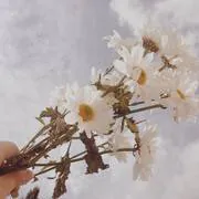 Image posted by the member