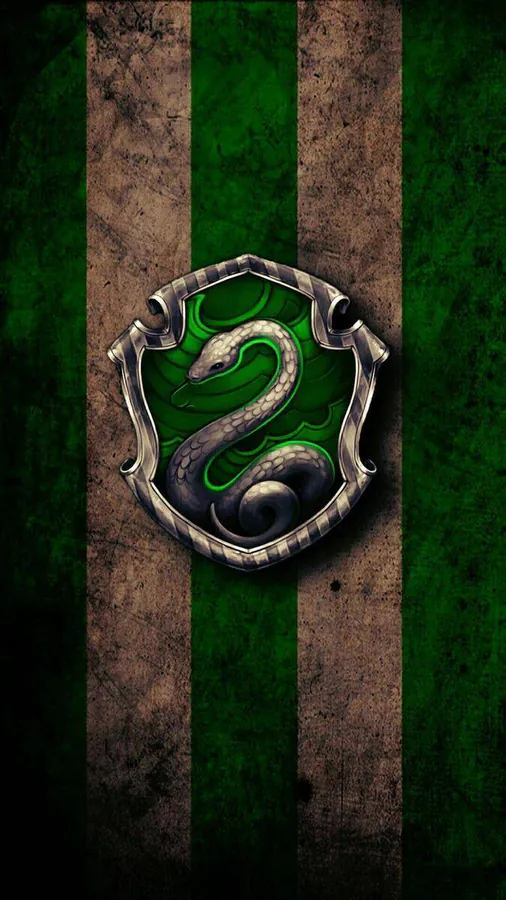 Image posted by the member