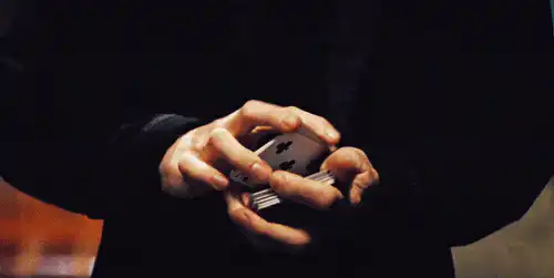 Image posted by the member