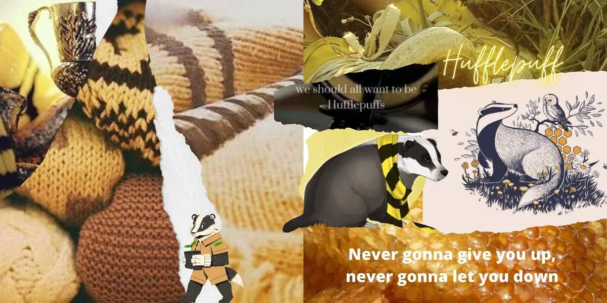 Image posted by the member