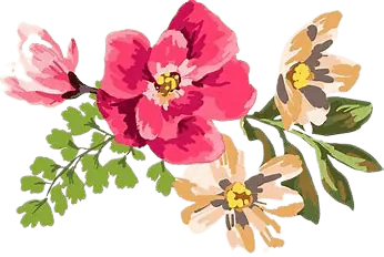 Image posted by the member