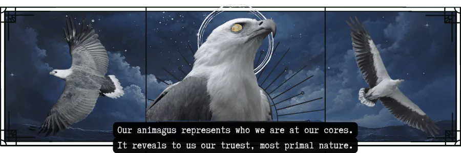 Image posted by the member