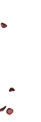 Image posted by the member