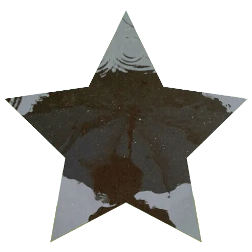 Image posted by the member