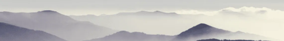 Image posted by the member