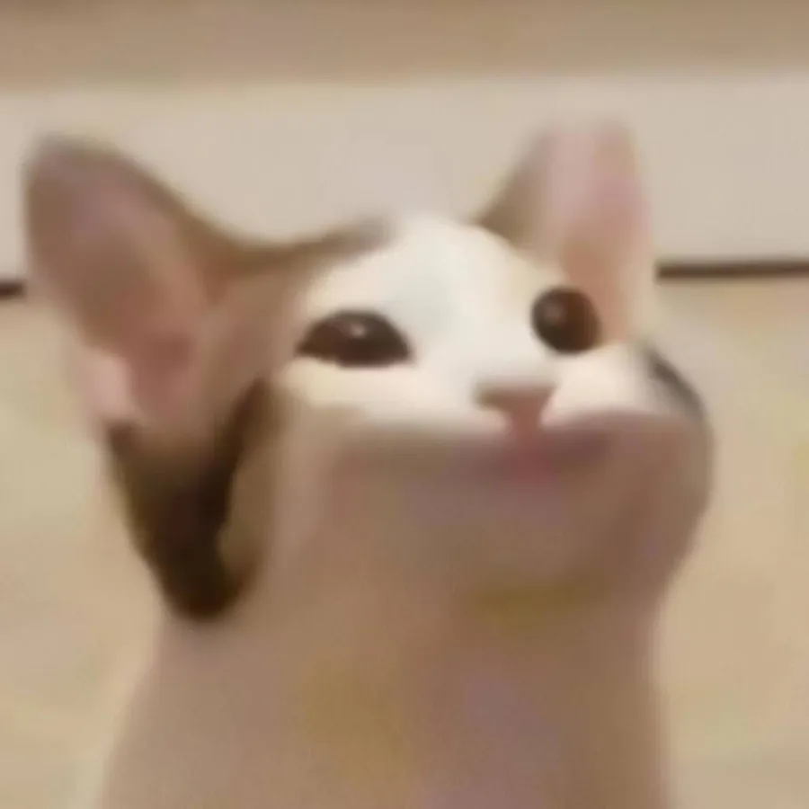 Image posted by the member