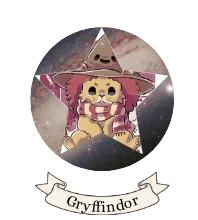 Image posted by the member