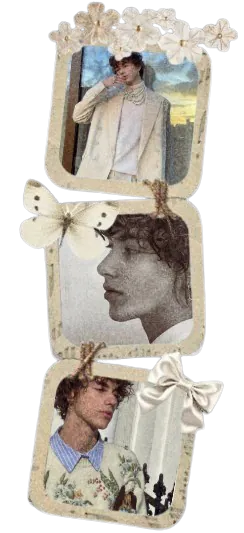 Image posted by the member