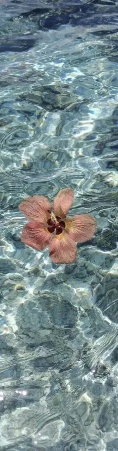 Image posted by the member
