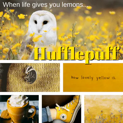 Image posted by the member