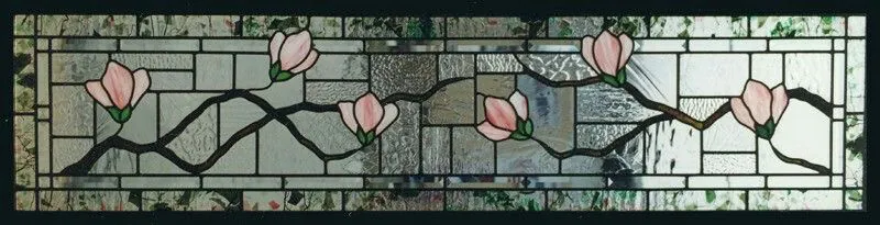 Image posted by the member