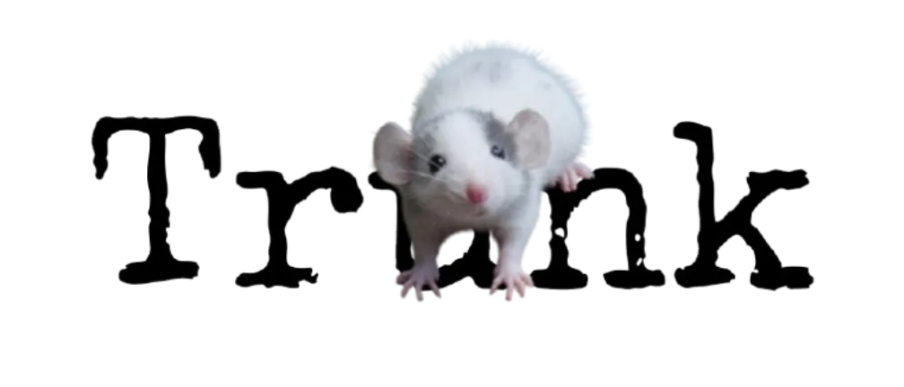 Image posted by the member