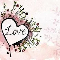 Image posted by the member