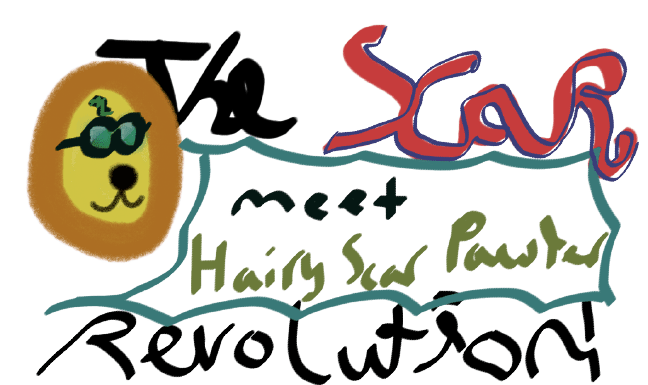 Image posted by the member