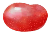 Image posted by the member