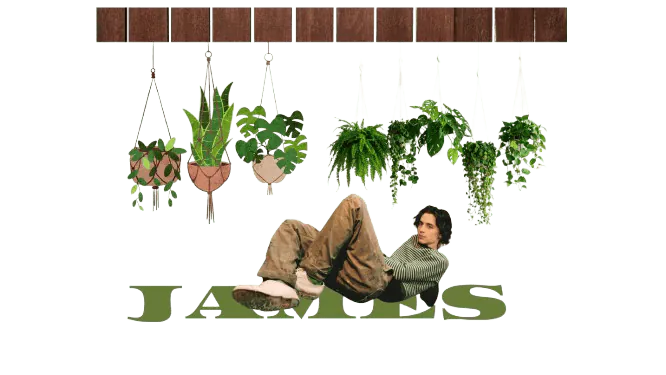 Image posted by the member