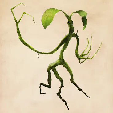Image posted by the member