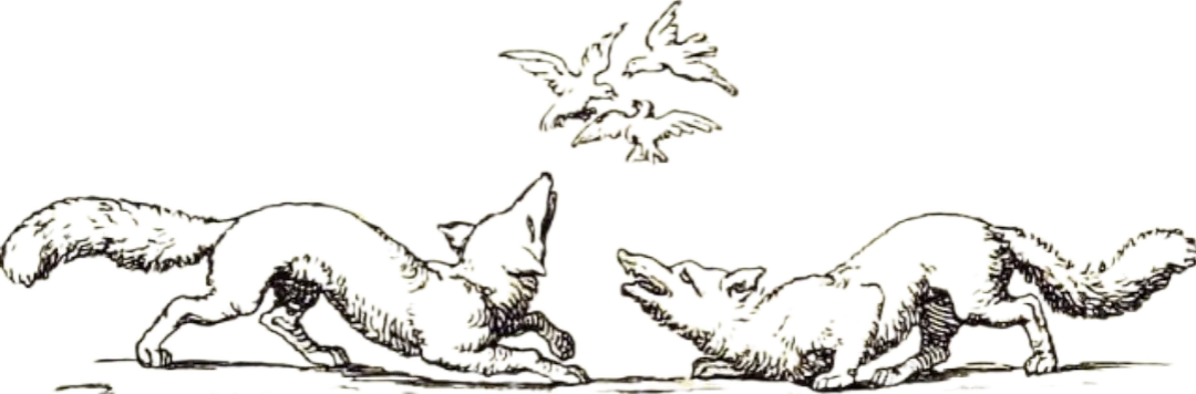 Image posted by the member