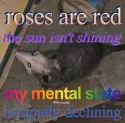 Image posted by the member
