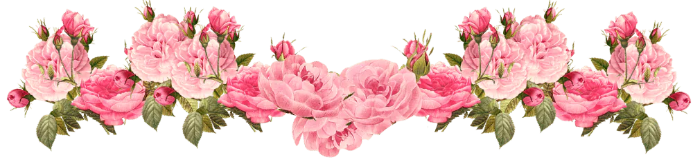 Image posted by the member