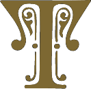 Image posted by the member