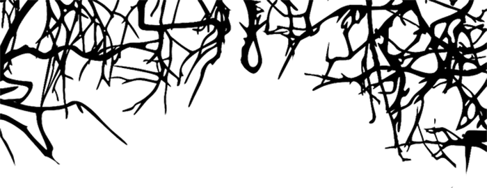 Image posted by the member