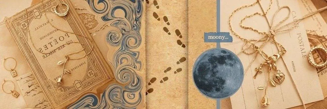 Image posted by the member