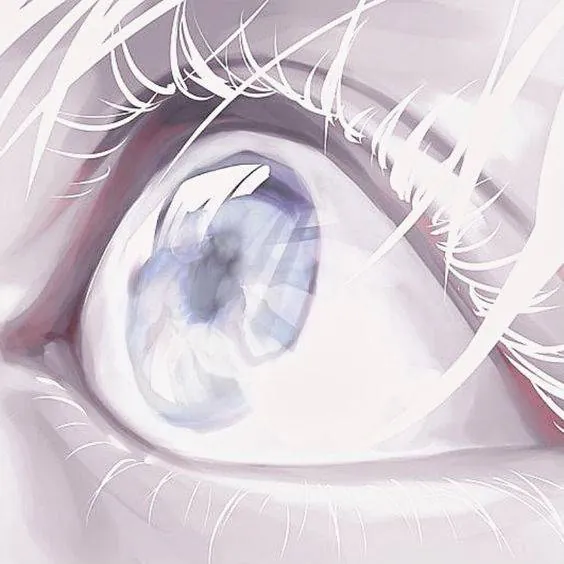 Image posted by the member