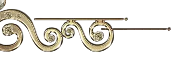 Image posted by the member