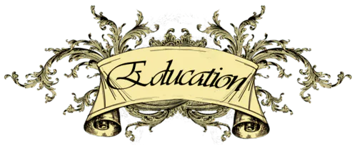 Image posted by the member