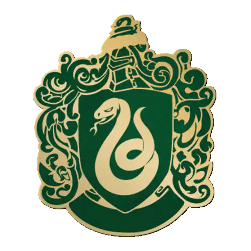 Image posted by the member