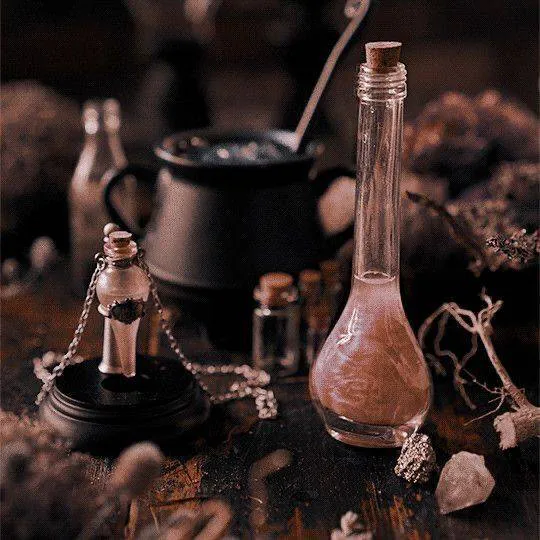 Image posted by the member