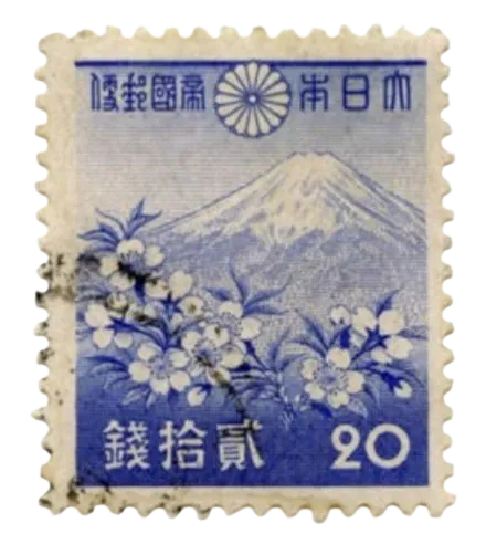 Image posted by the member