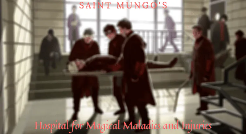 Image posted by the member