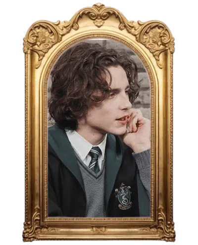 Image posted by the member